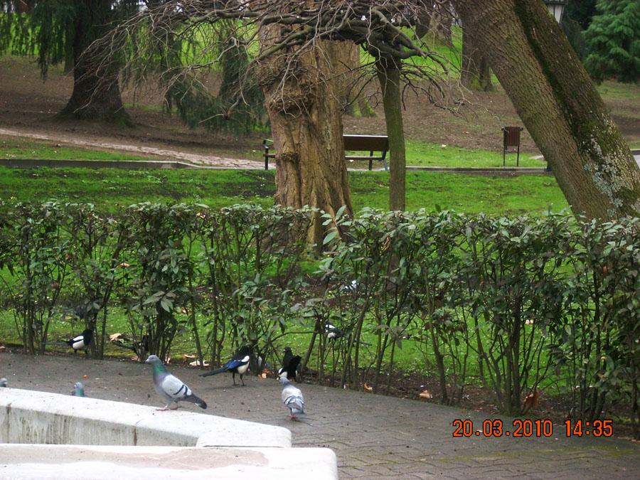 Foto de Oviedo (Asturias), España