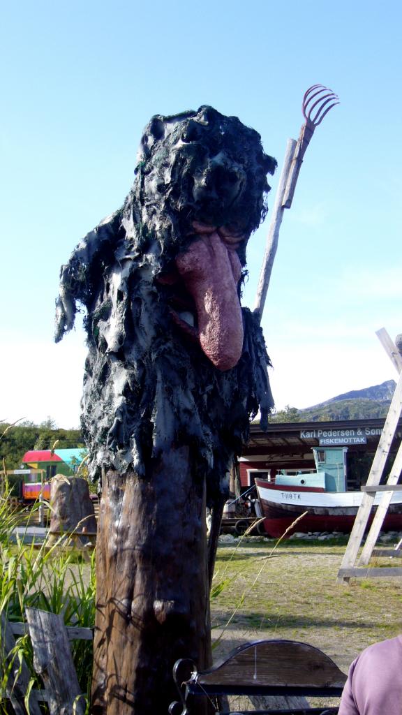 Foto de Isla de Senja, Noruega