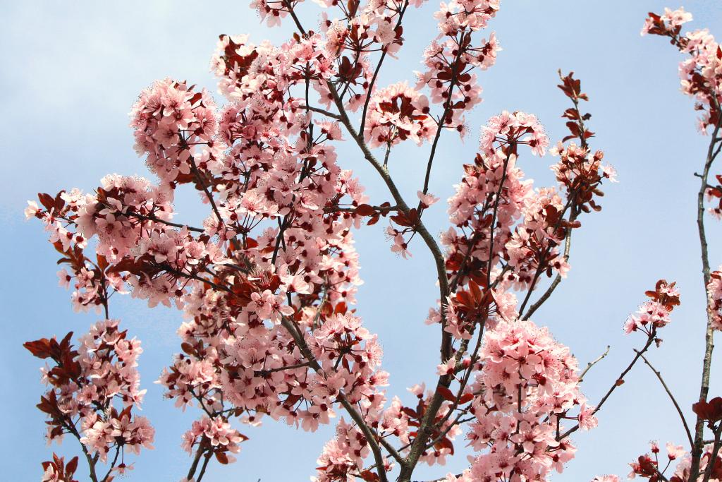 Foto de Monroyo (Teruel), España