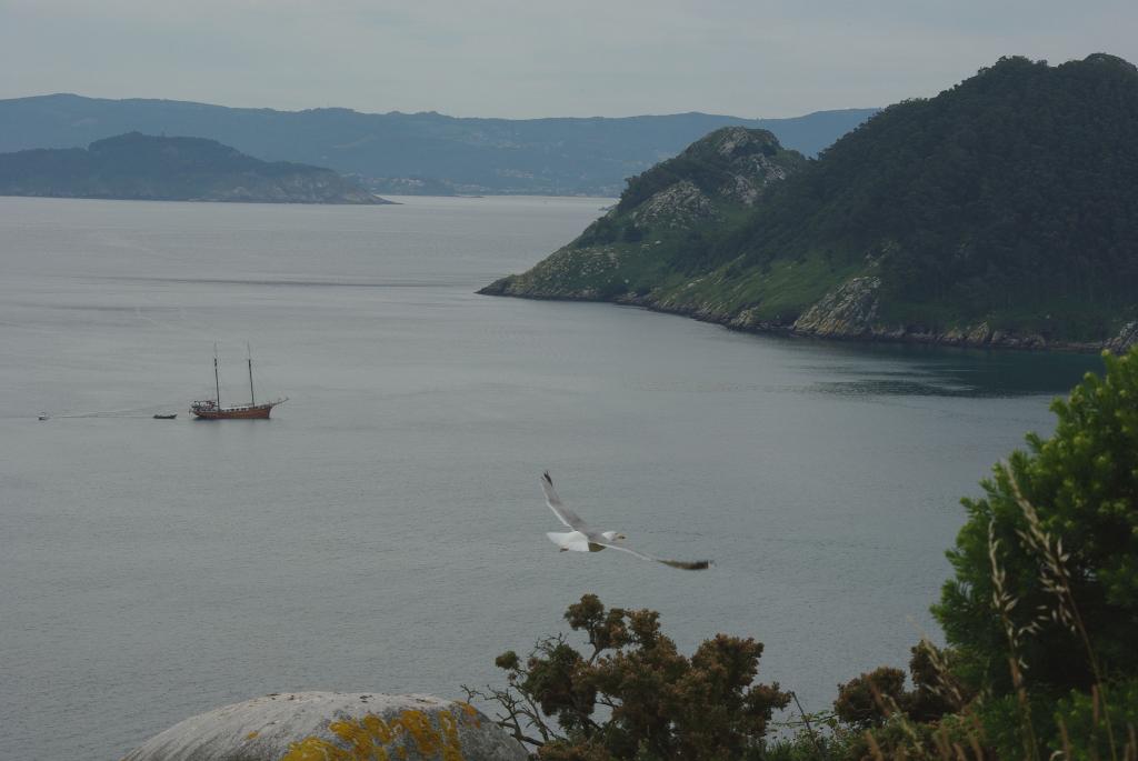 Foto de Vigo (Pontevedra), España