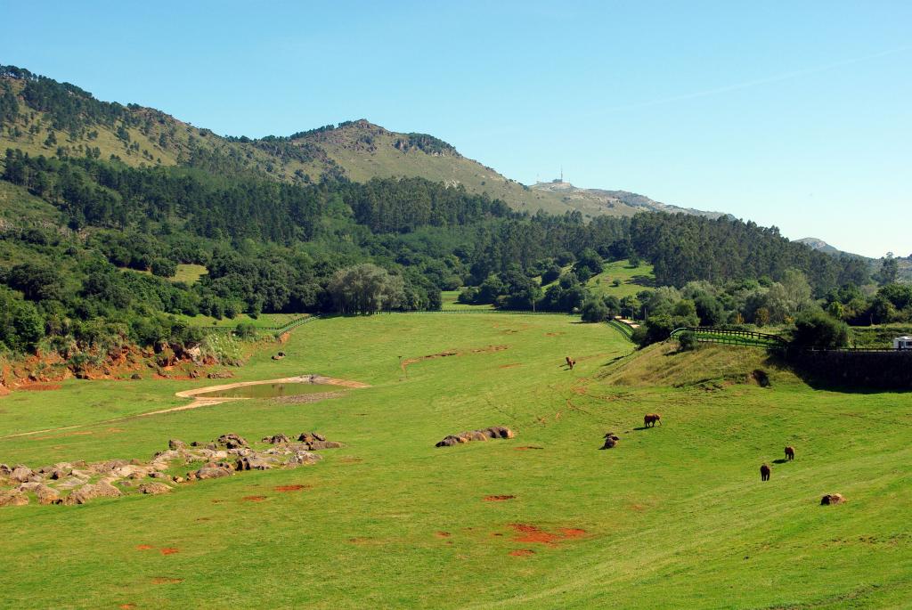 Foto de Cabarceno (Cantabria), España
