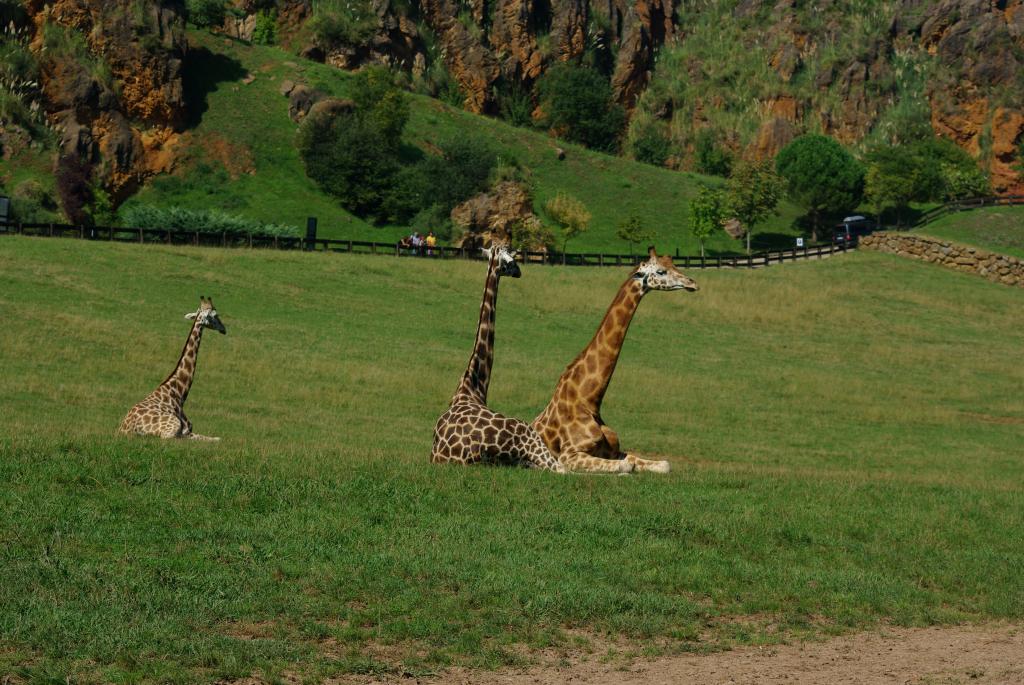 Foto de Cabarceno (Cantabria), España