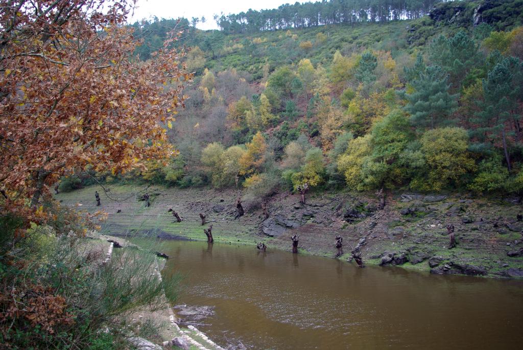 Foto de Paradela (Lugo), España