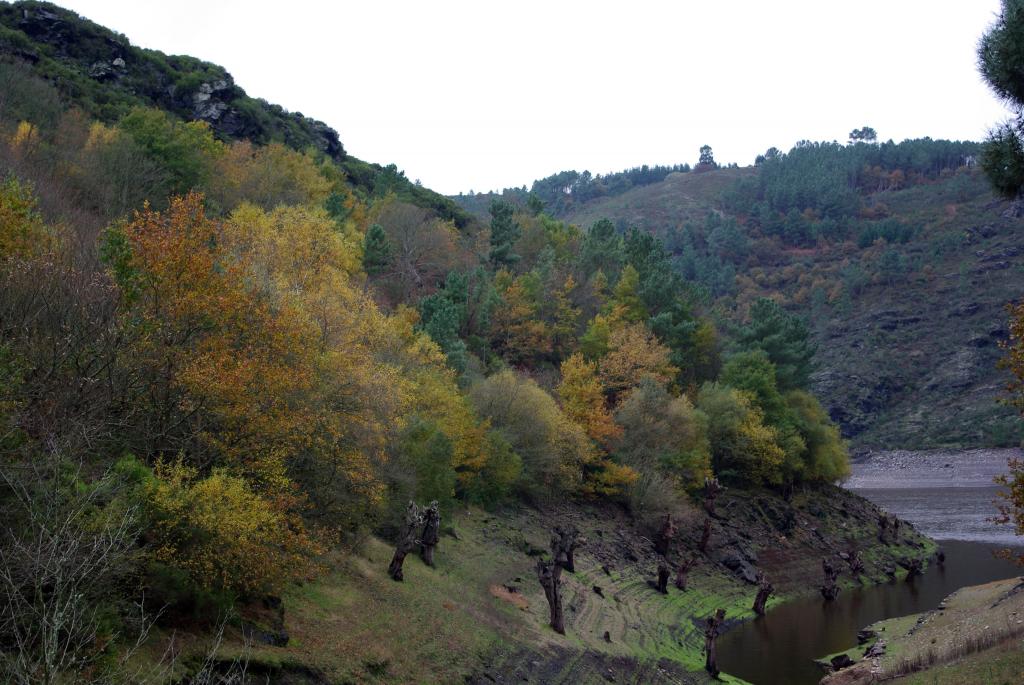 Foto de Paradela (Lugo), España