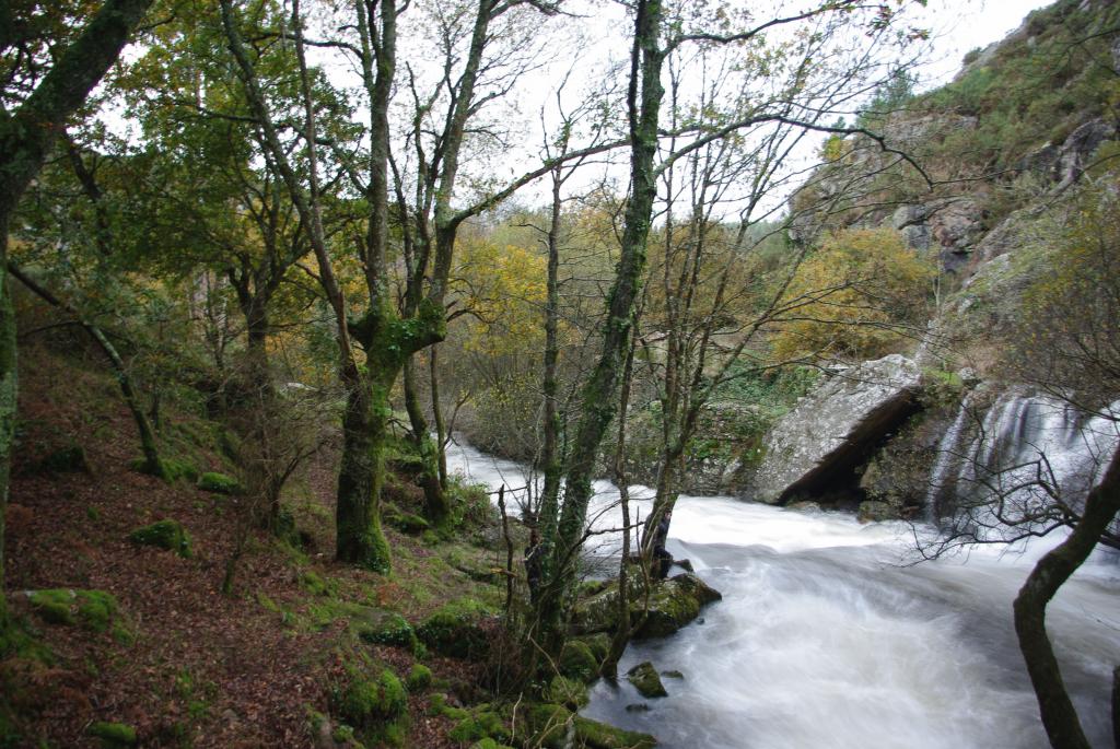 Foto de Palas de Rei (Lugo), España