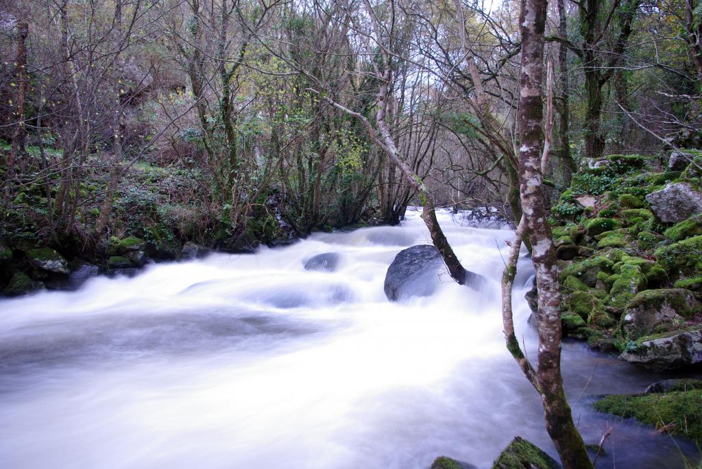 Foto de Palas de Rei (Lugo), España