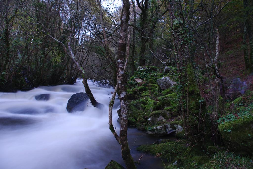 Foto de Palas de Rei (Lugo), España