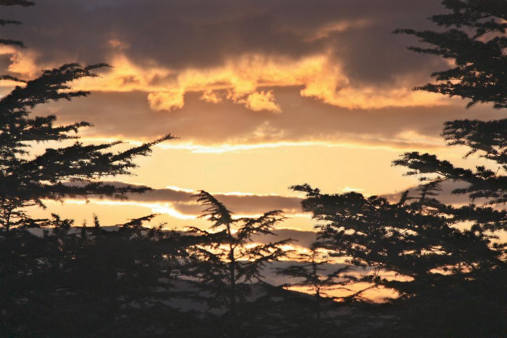 Foto de Villarroya de los Pinares (Teruel), España