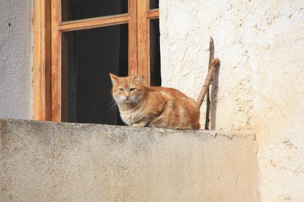 Foto de Villarroya de los Pinares (Teruel), España