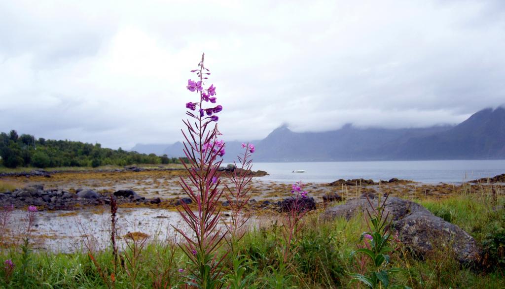 Foto de Islas Lofoten, Noruega