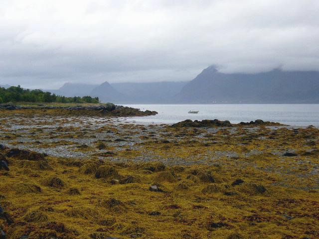 Foto de Islas Lofoten, Noruega