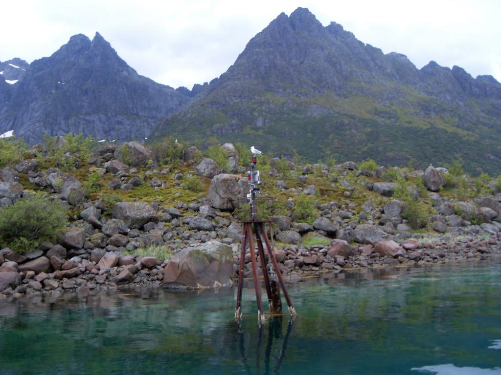 Foto de Trollfjorden, Noruega