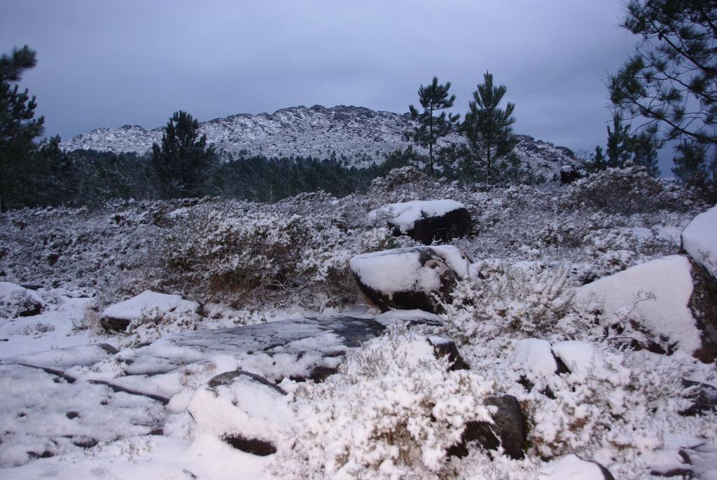 Foto de Gondomar (Pontevedra), España