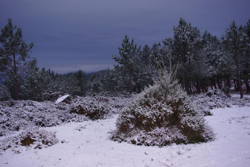Foto de Gondomar (Pontevedra), España