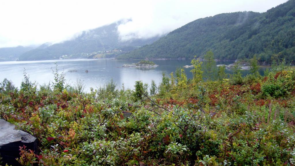 Foto de KABELVAG, Noruega