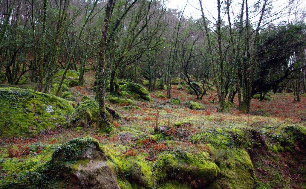 Foto de Geres, Portugal