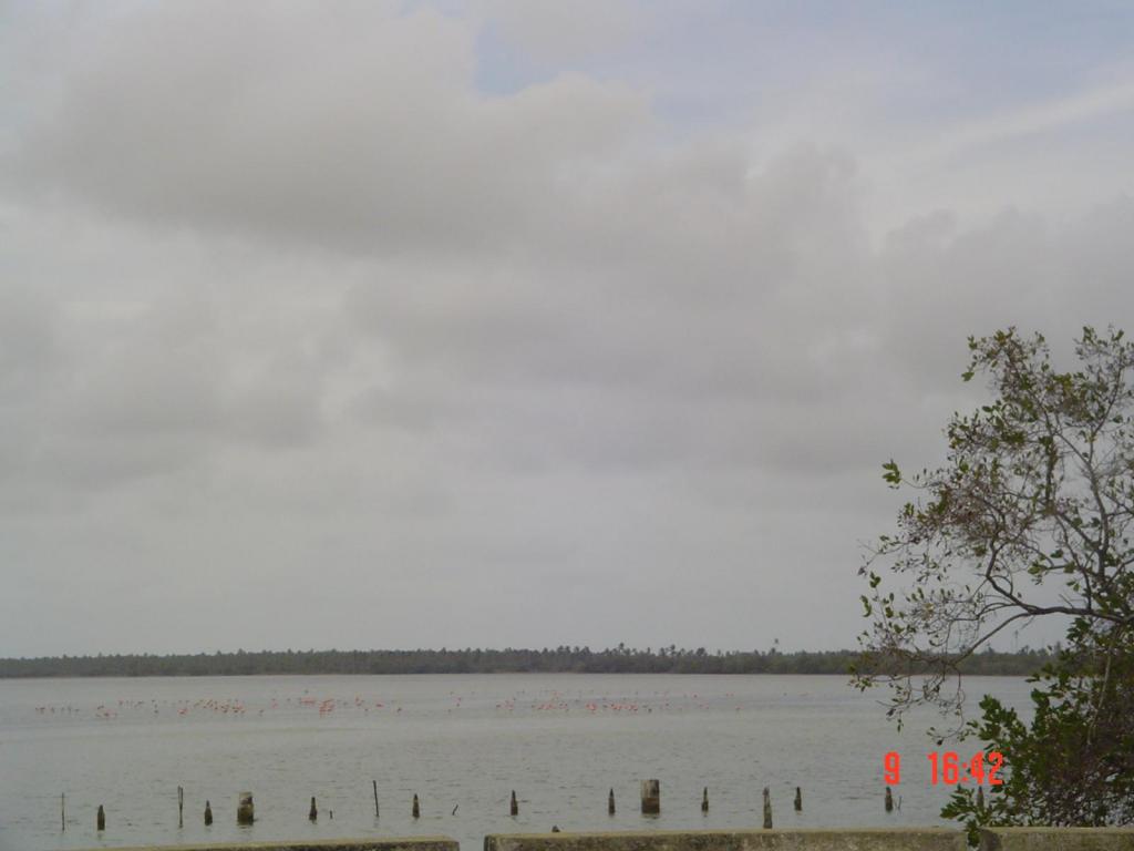 Foto de Chichiriviche, Venezuela