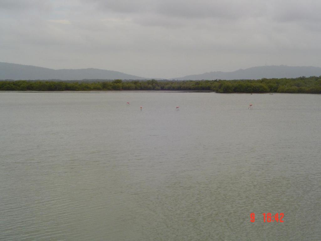 Foto de Chichiriviche, Venezuela