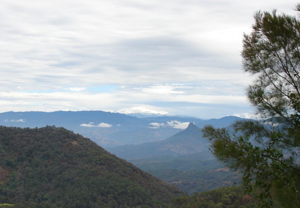 Foto de Amatepec, México
