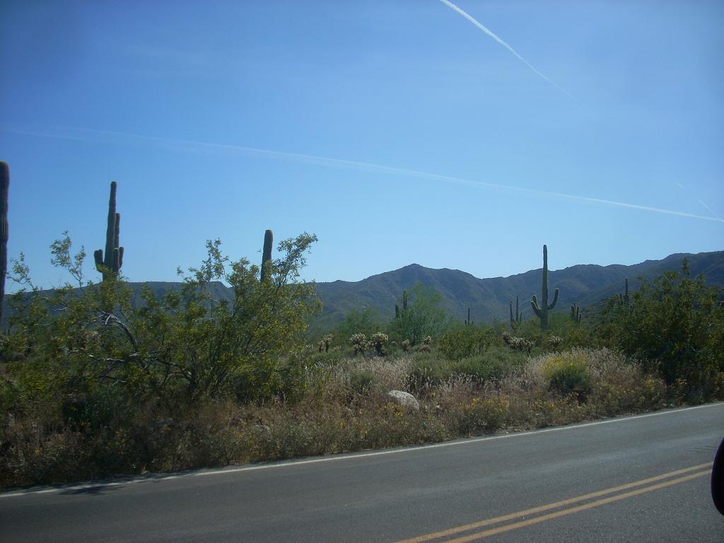Foto de Phoenix (Arizona) (Arizona), Estados Unidos