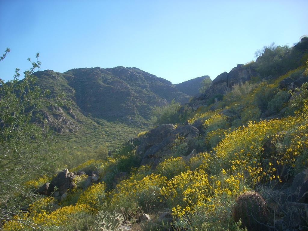 Foto de Phoenix (Arizona) (Arizona), Estados Unidos