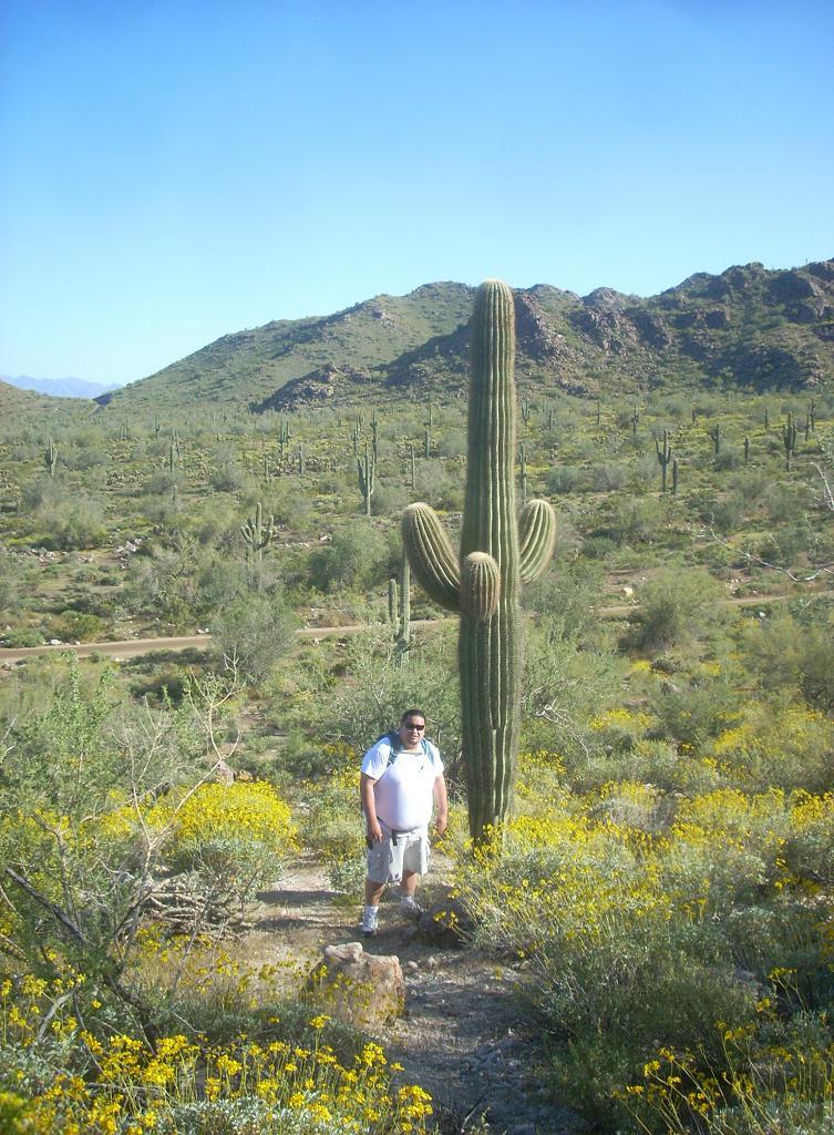 Foto de Phoenix (Arizona) (Arizona), Estados Unidos
