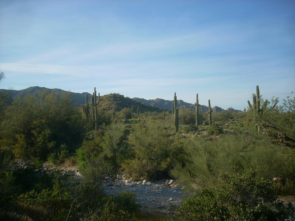 Foto de Phoenix (Arizona) (Arizona), Estados Unidos