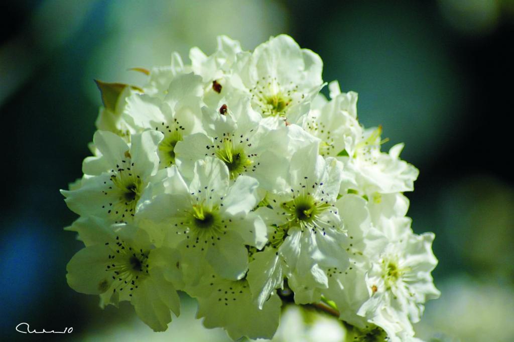 Foto de Valencia (València), España