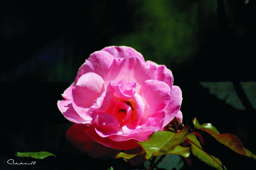 Foto de Valencia (València), España