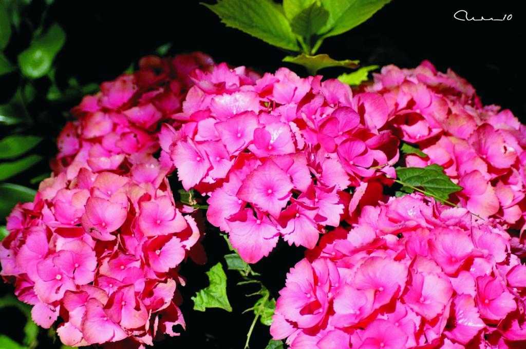 Foto de Valencia (València), España