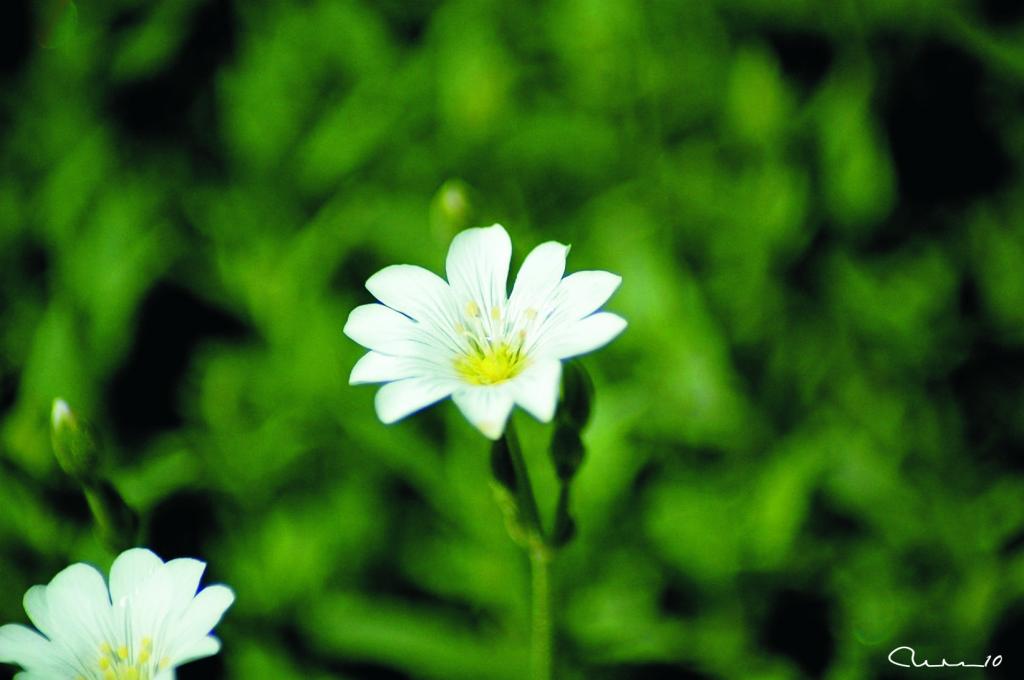 Foto de Valencia (València), España