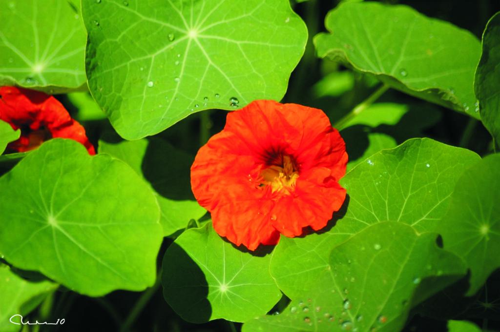 Foto de Valencia (València), España