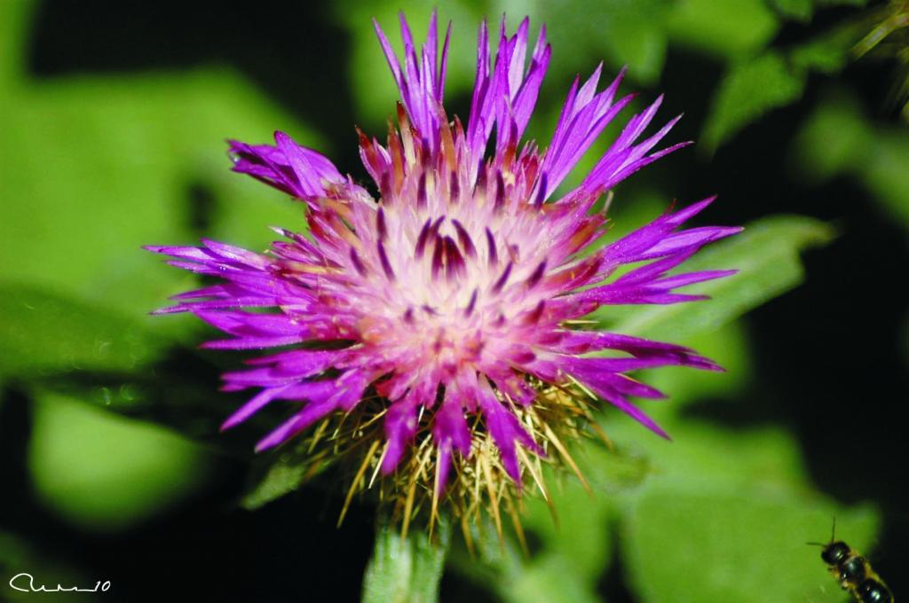 Foto de Valencia (València), España