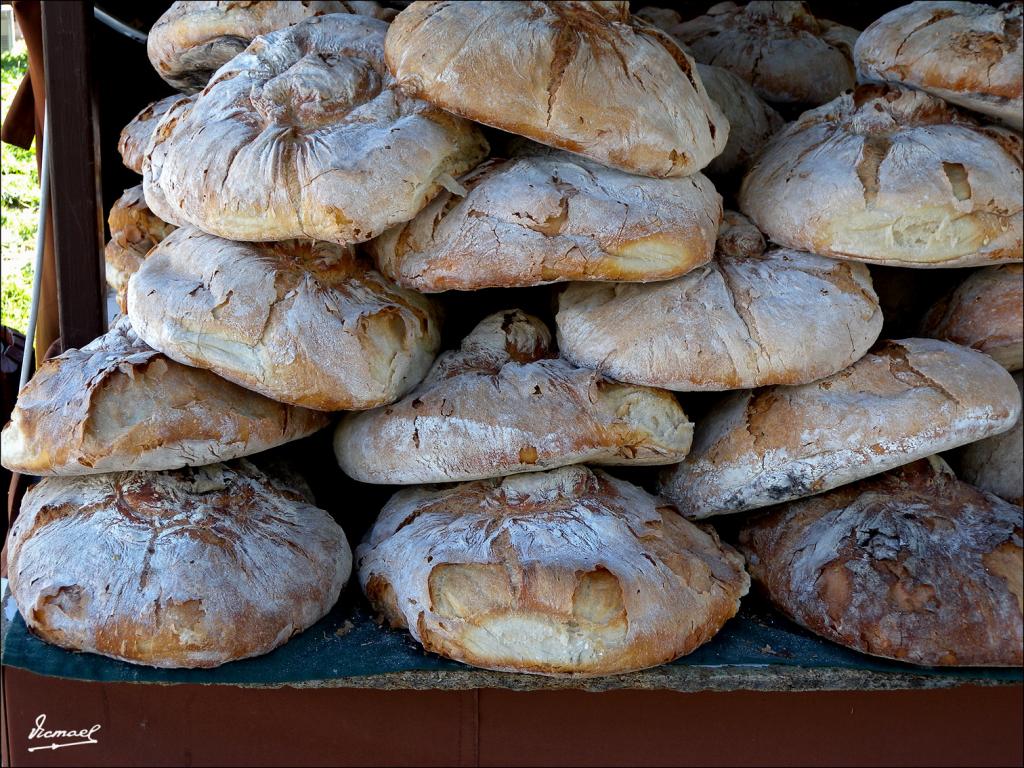 Foto de Zaragoza (Aragón), España