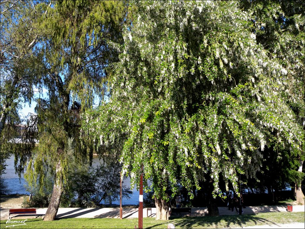 Foto de Zaragoza (Aragón), España