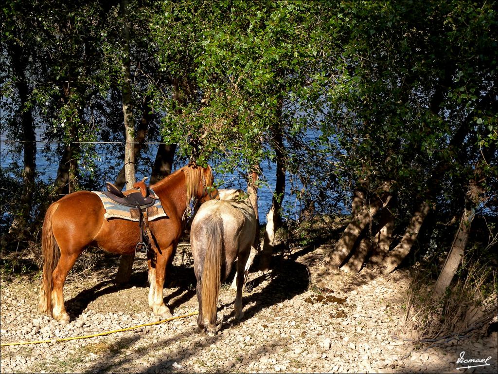 Foto de Zaragoza (Aragón), España