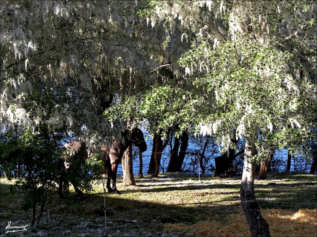 Foto de Zaragoza (Aragón), España