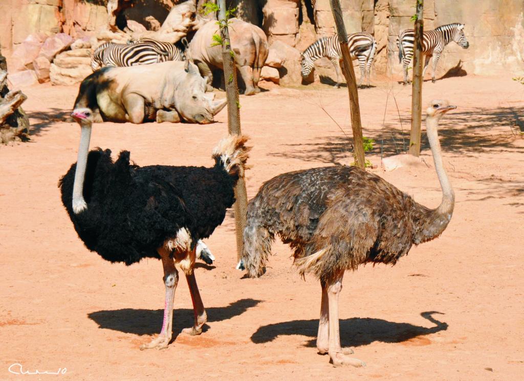 Foto de Valencia (València), España