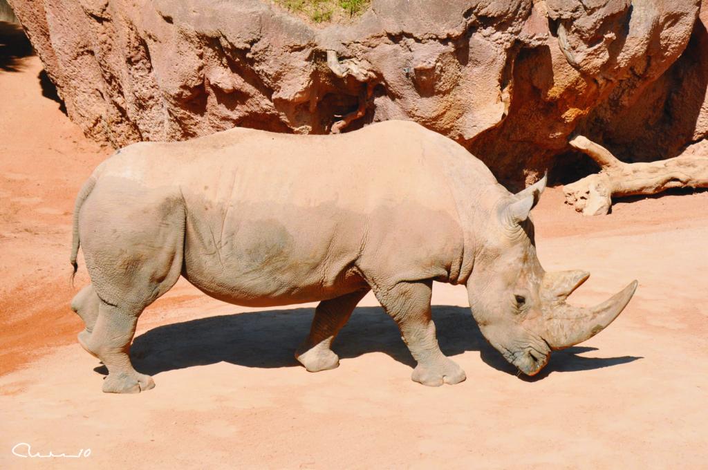 Foto de Valencia (València), España