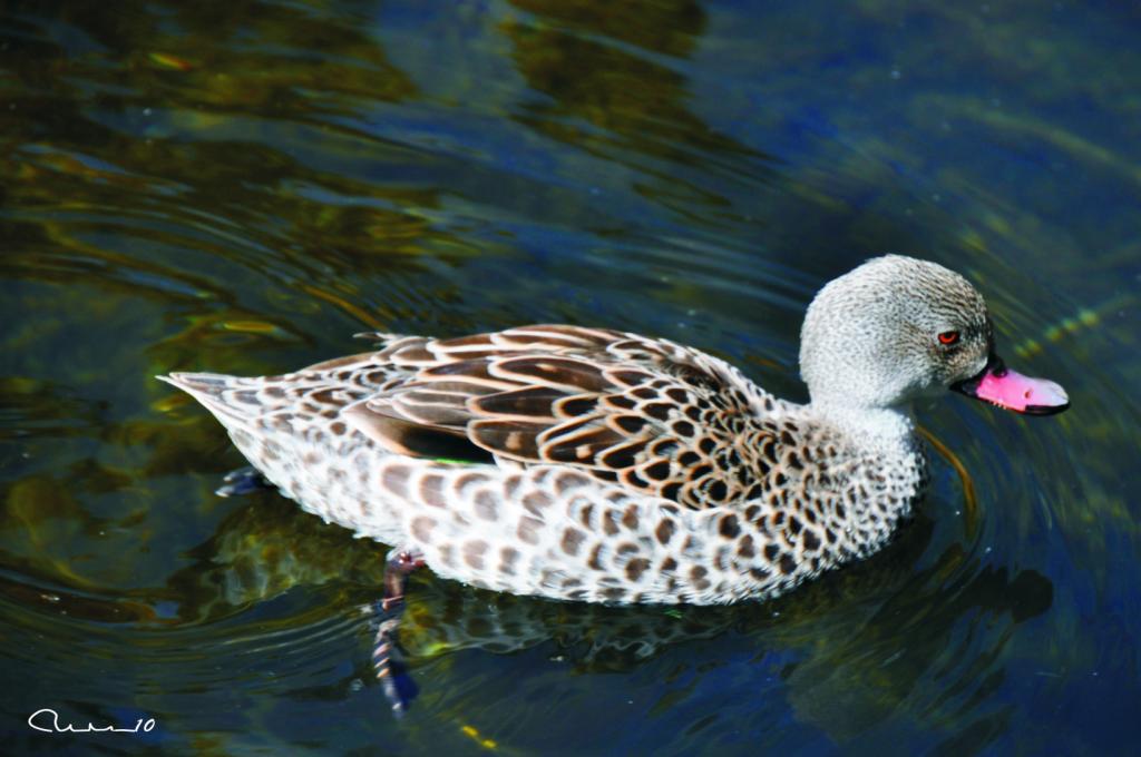 Foto de Valencia (València), España