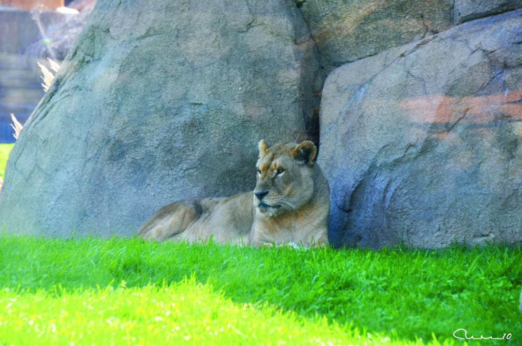 Foto de Valencia (València), España