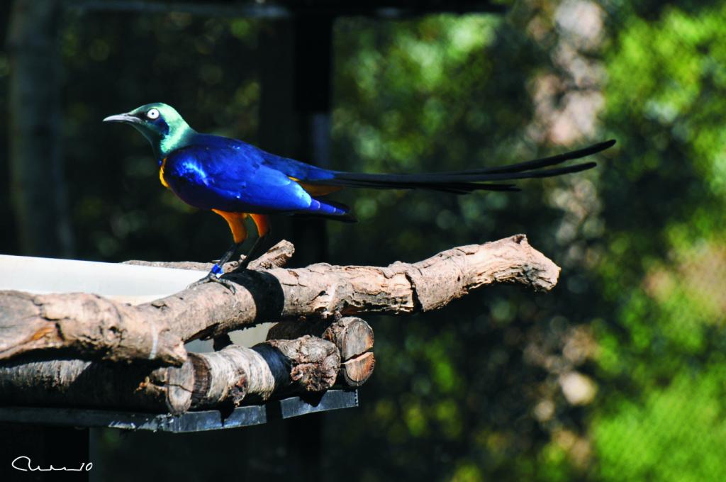 Foto de Valencia (València), España