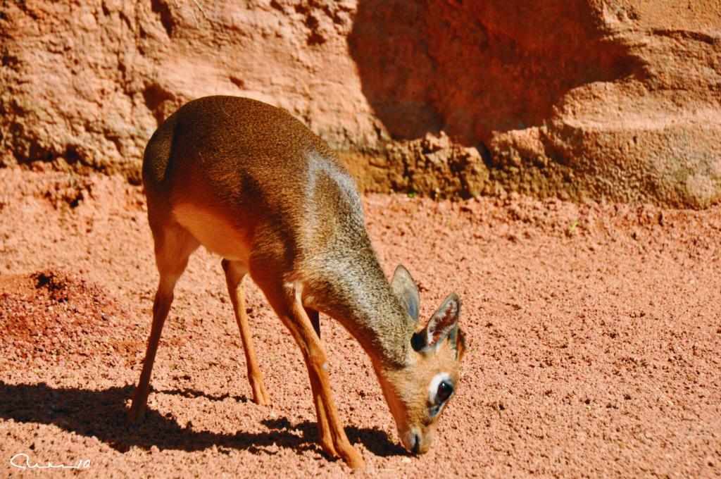Foto de Valencia (València), España
