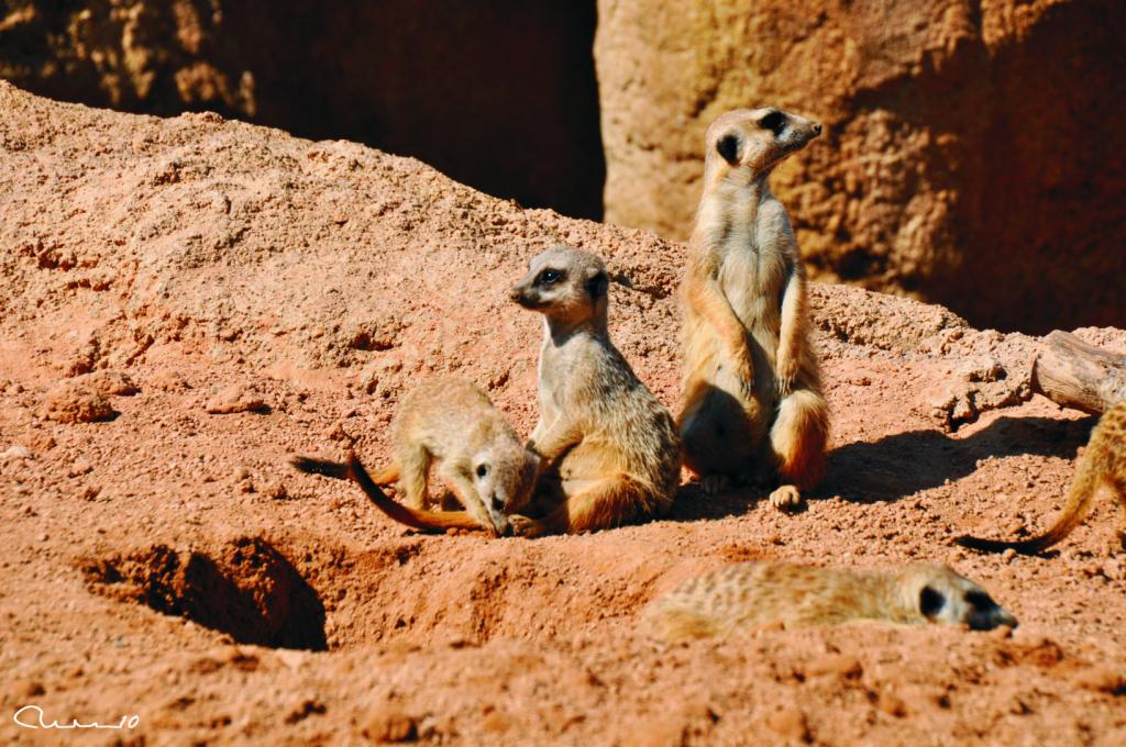 Foto de Valencia (València), España