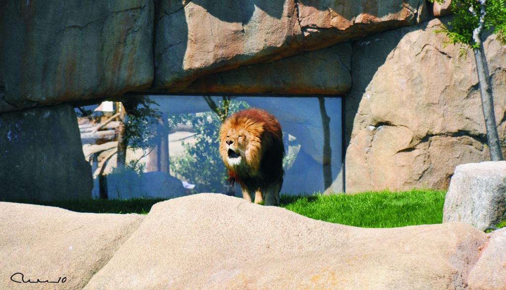 Foto de Valencia (València), España