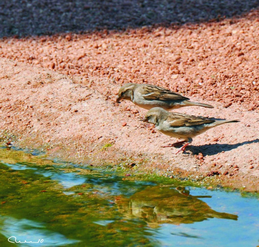 Foto de Valencia (València), España