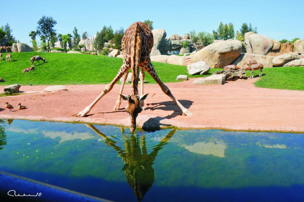 Foto de Valencia (València), España