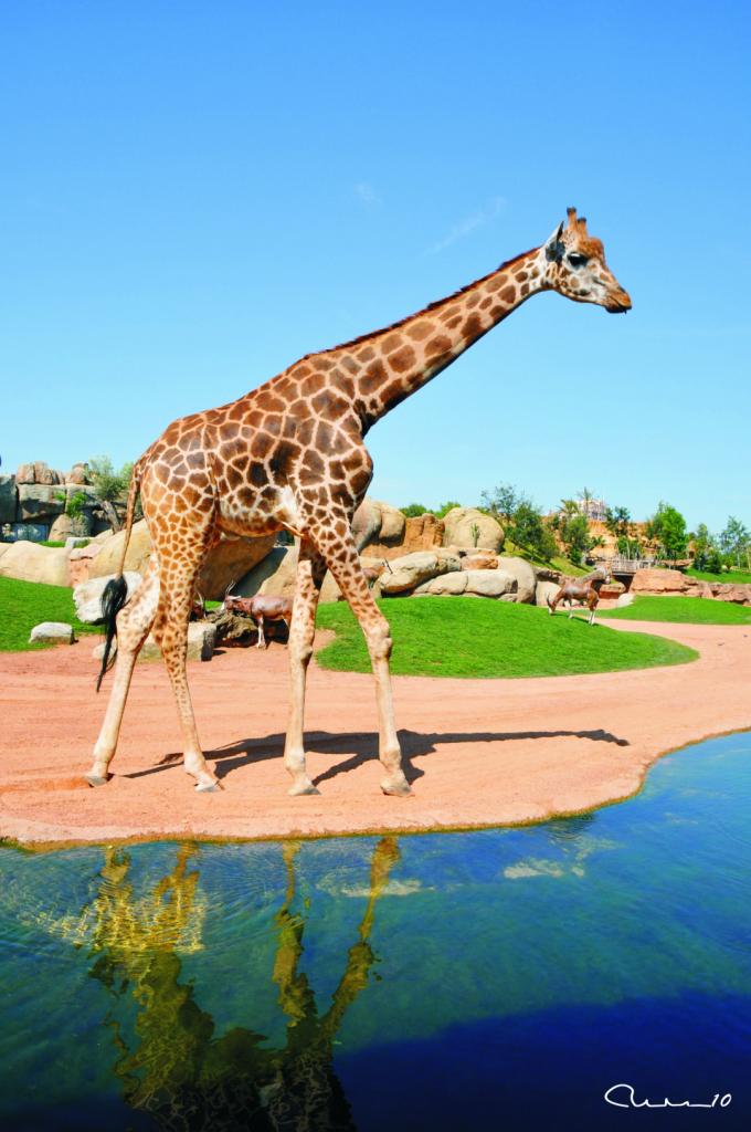 Foto de Valencia (València), España