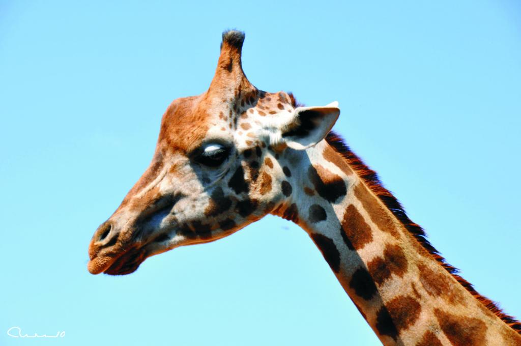 Foto de Valencia (València), España