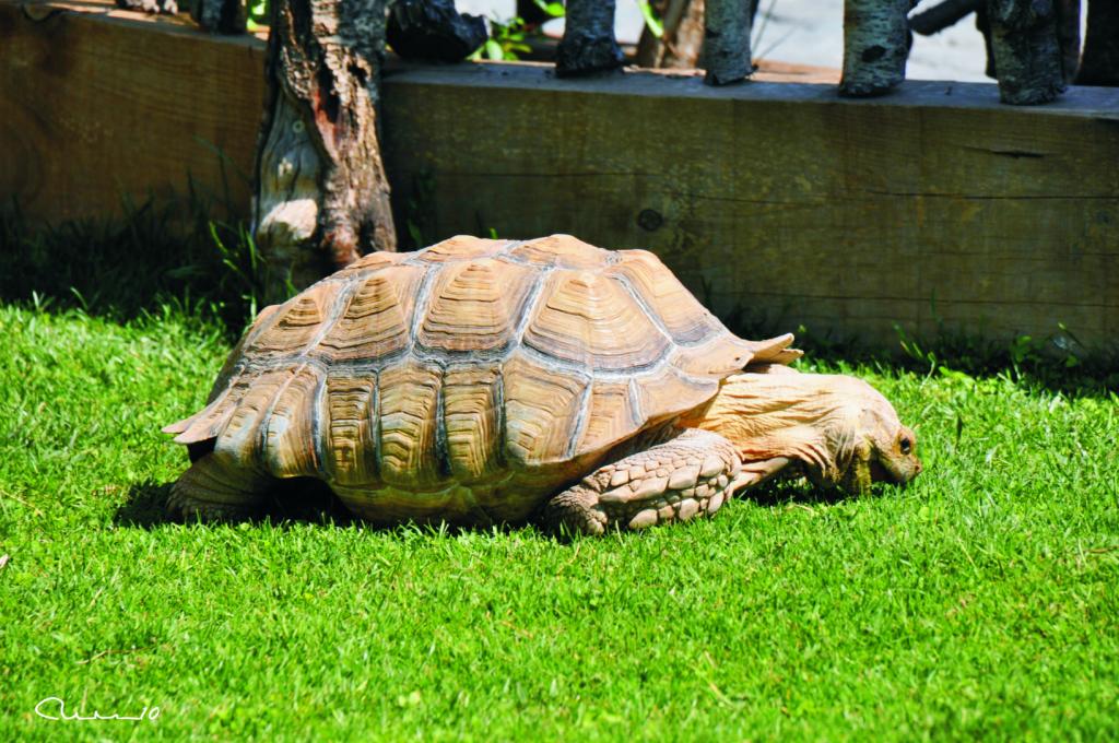 Foto de Valencia (València), España